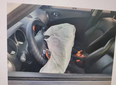 2015 Nissan Juke JN1AF58E2FT100109 VIN:JN1AF58E2FT100109