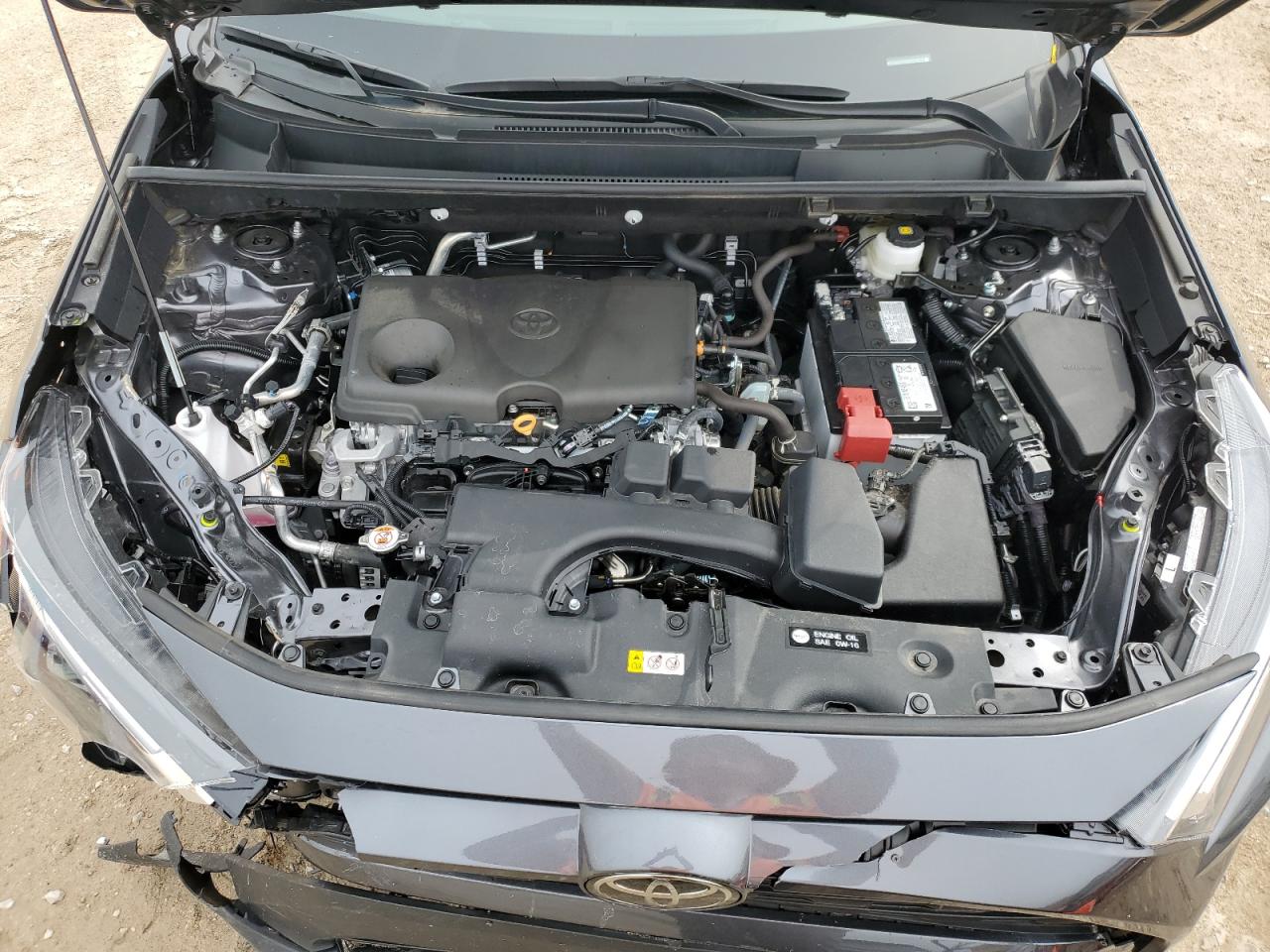 2024 TOYOTA RAV4 XLE VIN:2T3W1RFV9RC278212