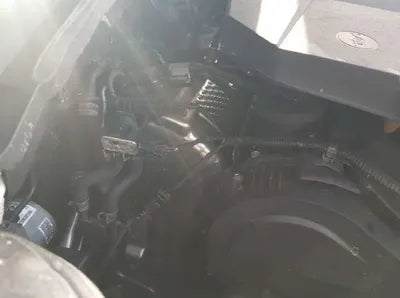 2021 Kia Sorento KNARK81BHNA133310 VIN:KNARK81BHNA133310