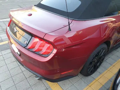 2019 Ford Mustang 1FATP8UH3K5196891 VIN:1FATP8UH3K5196891