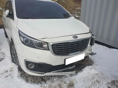 2016 Kia Carnival KNAMB81ABGS176969 VIN:KNAMB81ABGS176969