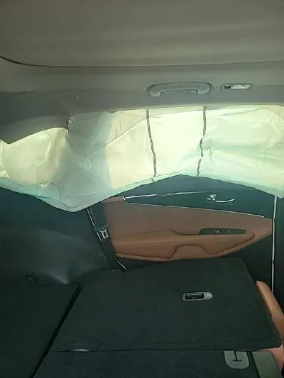 2019 Kia Sorento KNAPH81BBLA612488 VIN:KNAPH81BBLA612488