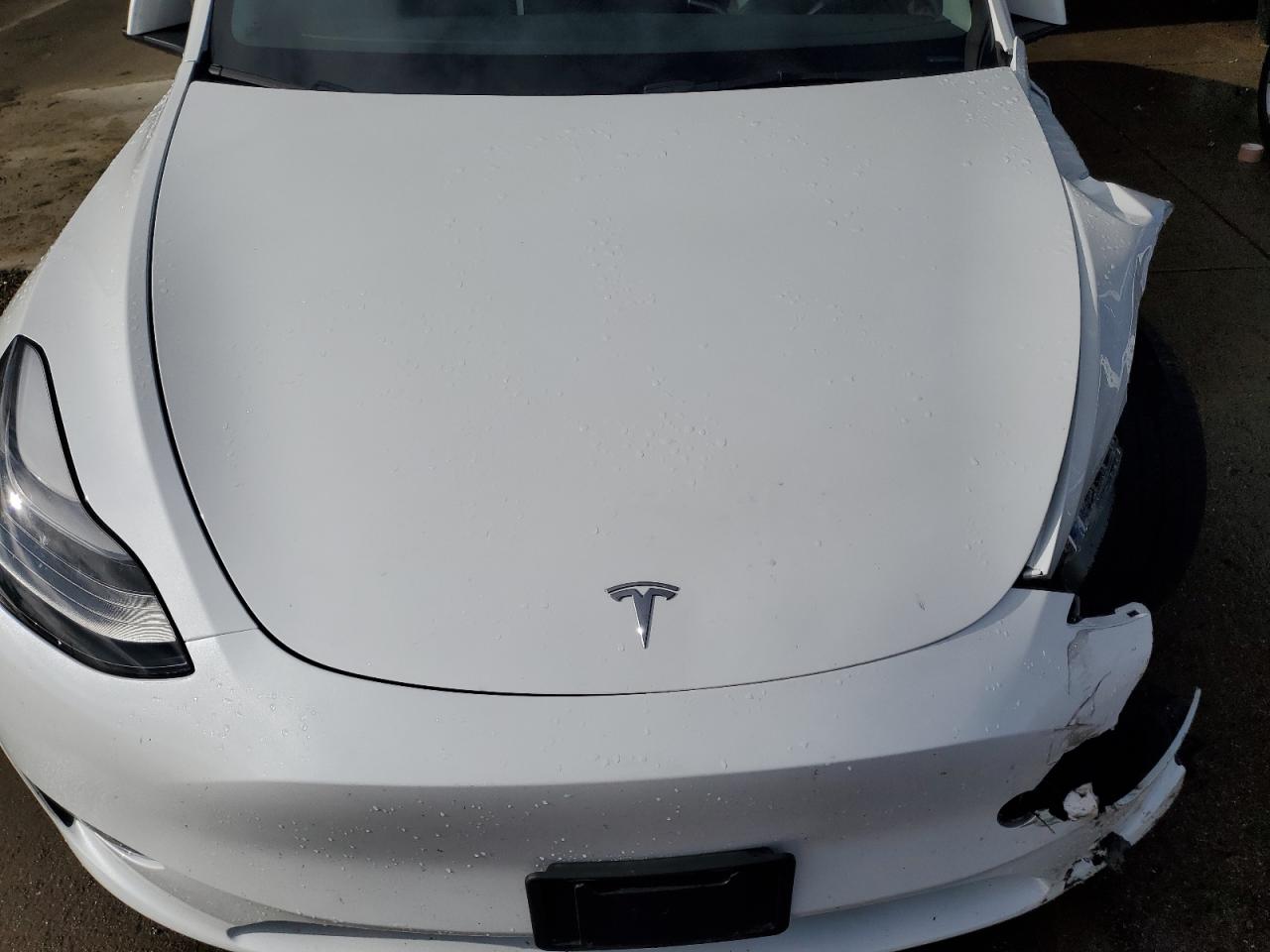 2023 TESLA MODEL Y  VIN:7SAYGDEE7PF707363