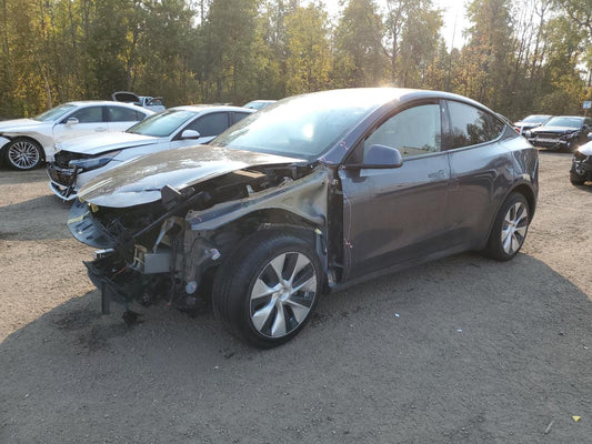 2023 TESLA MODEL Y  VIN:7SAYGDEEXPF774071