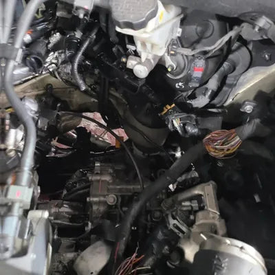 2018 Hyundai Santa FE KMHS281BBKU028913 VIN:KMHS281BBKU028913