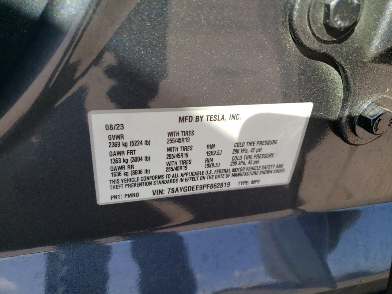 2023 TESLA MODEL Y  VIN:7SAYGDEE9PF862819