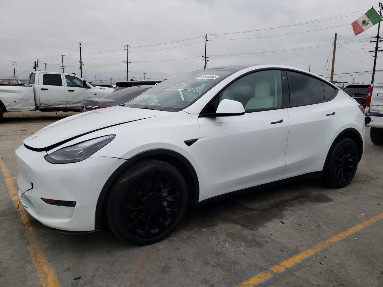 2022 TESLA MODEL Y  VIN:7SAYGDEE1NF554234