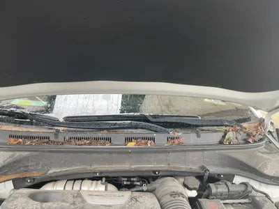 2018 Hyundai Kona KMHK4815GJU050177 VIN:KMHK4815GJU050177