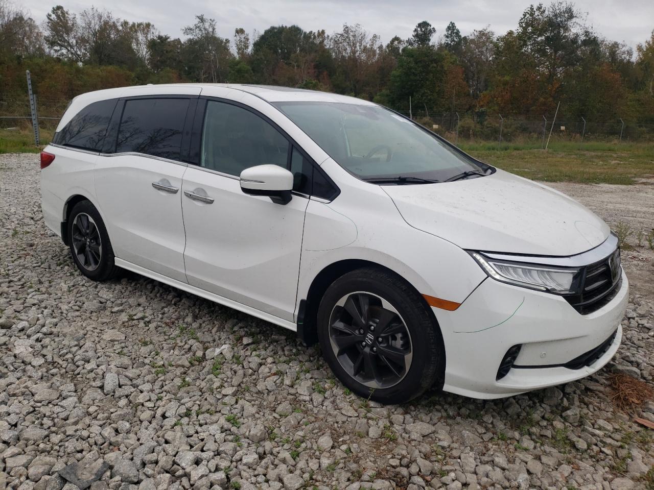 2024 HONDA ODYSSEY ELITE VIN:5FNRL6H99RB018113