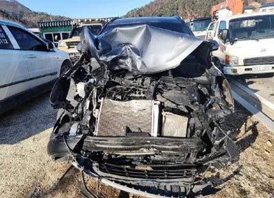 2018 Hyundai Santa FE KMHSW81UDJU801031 VIN:KMHSW81UDJU801031