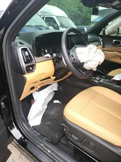 2022 Kia Sorento KNARL81GBNA105043 VIN:KNARL81GBNA105043
