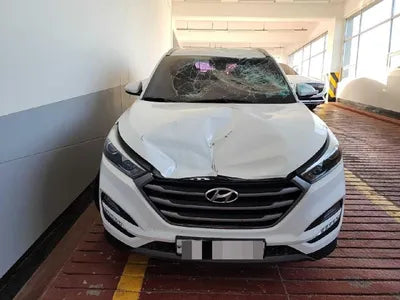 2016 Hyundai Tucson KMHJ381ADGU204673 VIN:KMHJ381ADGU204673