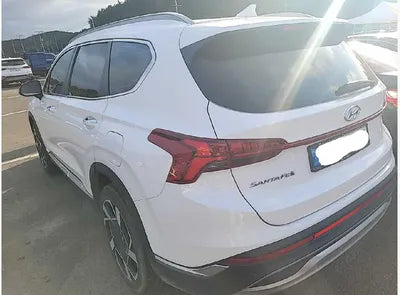 2021 Hyundai Santa FE KMHS381HGMU315041 VIN:KMHS381HGMU315041