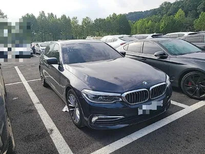 2020 BMW 520 WBAJF5107LCE18007 VIN:WBAJF5107LCE18007