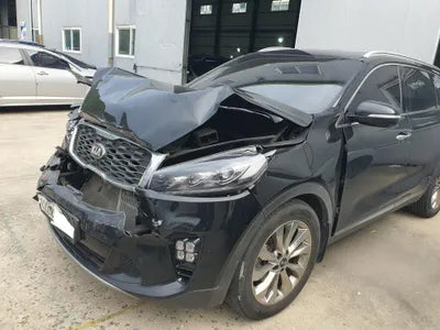 2019 Kia Sorento KNAPS81ABLA614119 VIN:KNAPS81ABLA614119