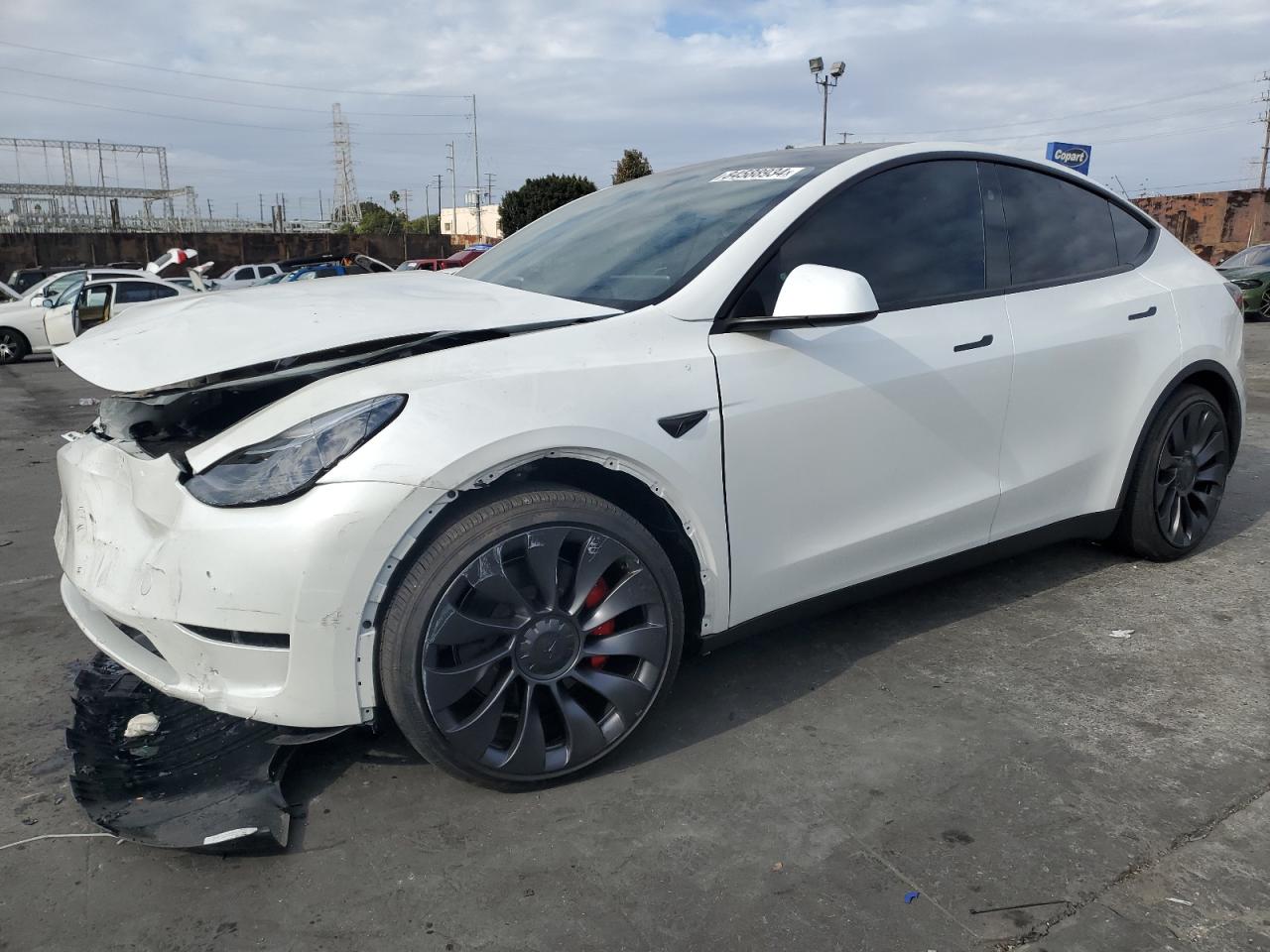 2024 TESLA MODEL Y  VIN:7SAYGDEF8RF179750