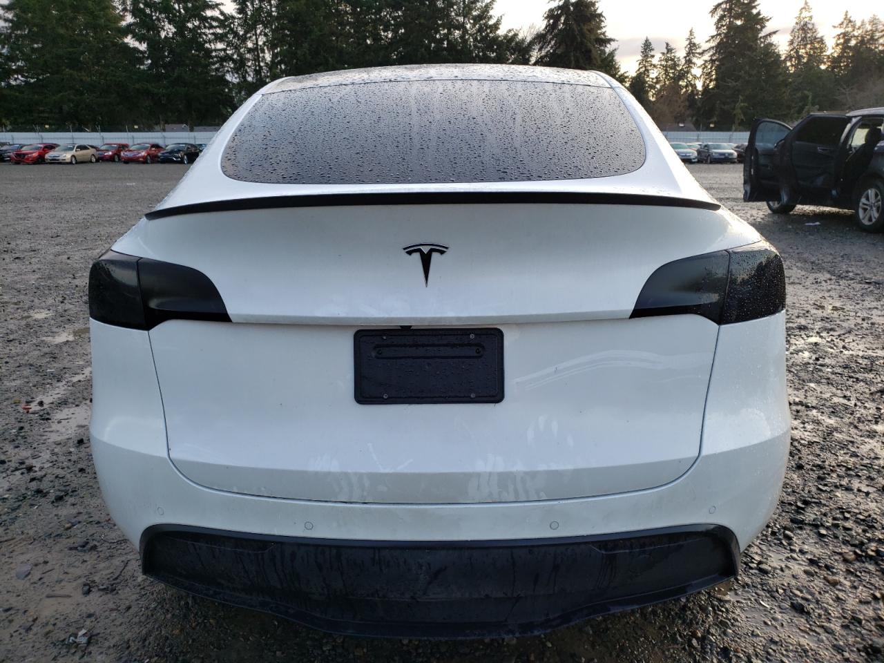 2022 TESLA MODEL Y  VIN:7SAYGDEE5NF345109