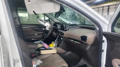 2020 Hyundai Santa FE KMHS381CBLU261557 VIN:KMHS381CBLU261557