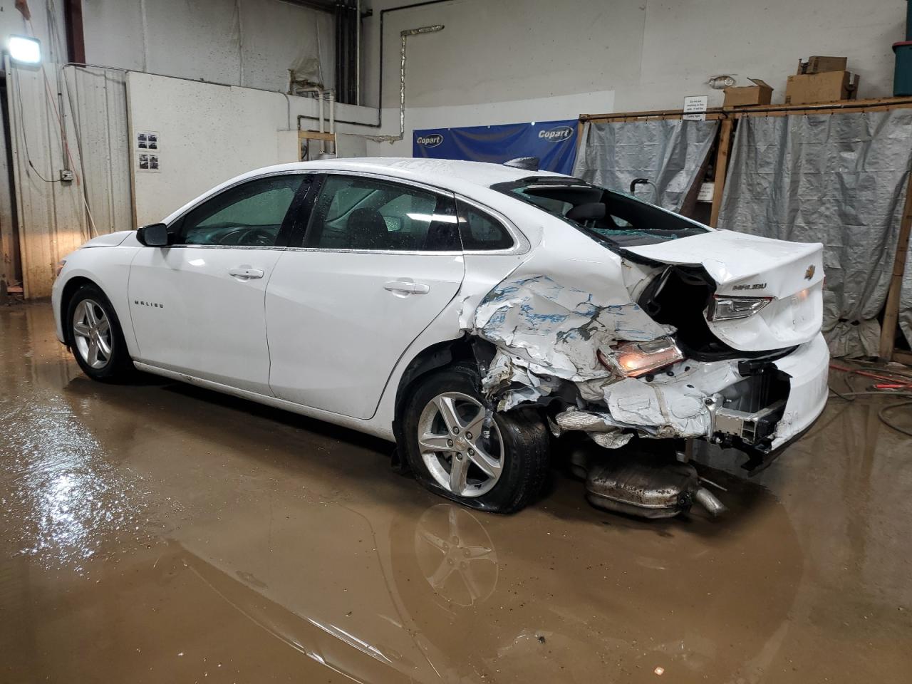 2023 CHEVROLET MALIBU LS VIN:1G1ZC5ST4PF160045