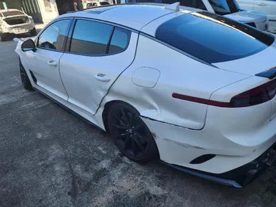 2021 Kia Stinger KNAE551CDMS098940 VIN:KNAE551CDMS098940