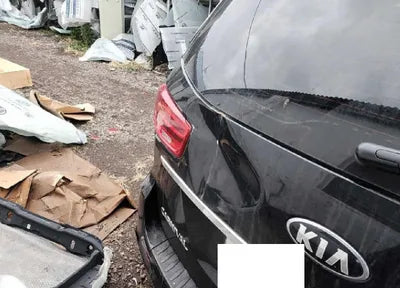 2019 Kia Carnival KNAMC81ABKS500352 VIN:KNAMC81ABKS500352
