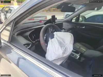 2020 Hyundai Santa FE KMHS381CBLU305091 VIN:KMHS381CBLU305091