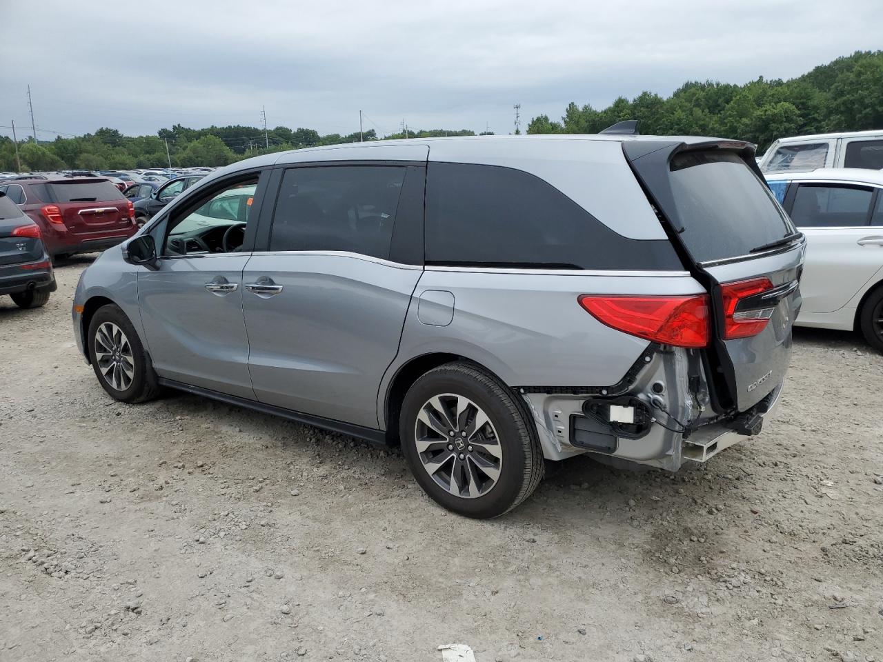 2024 HONDA ODYSSEY EXL VIN:5FNRL6H64RB014928