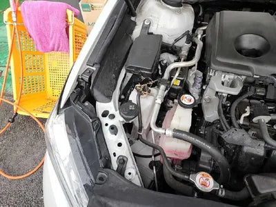 2019 Toyota Camry VIN: