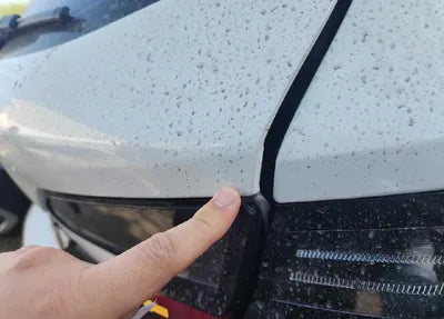 2023 BMW 218 WBA21BY04P7L66323 VIN:WBA21BY04P7L66323