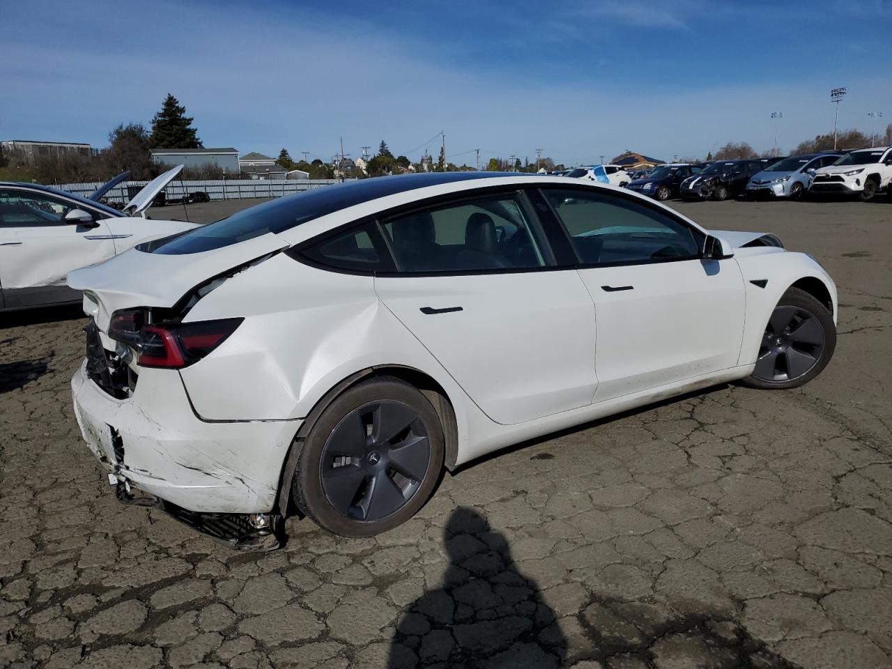 2022 TESLA MODEL 3  VIN:5YJ3E1EB6NF366696