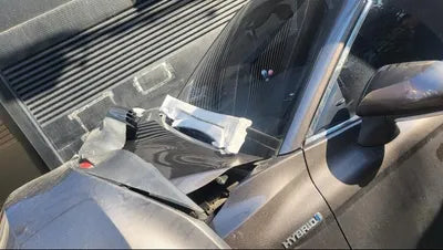 2019 Toyota Camry VIN: