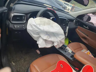 2019 Kia Sorento KNAPS81ABLA614119 VIN:KNAPS81ABLA614119