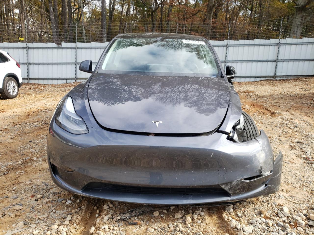 2023 TESLA MODEL Y  VIN:7SAYGDEE8PF823817