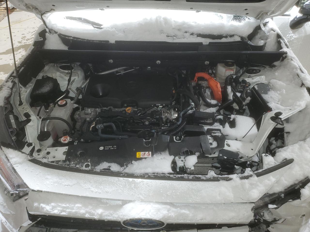 2024 TOYOTA RAV4 XSE VIN:2T3E6RFV9RW049735