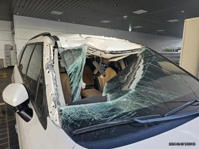 2021 Kia Carnival KNANC81BBMS078551 VIN:KNANC81BBMS078551