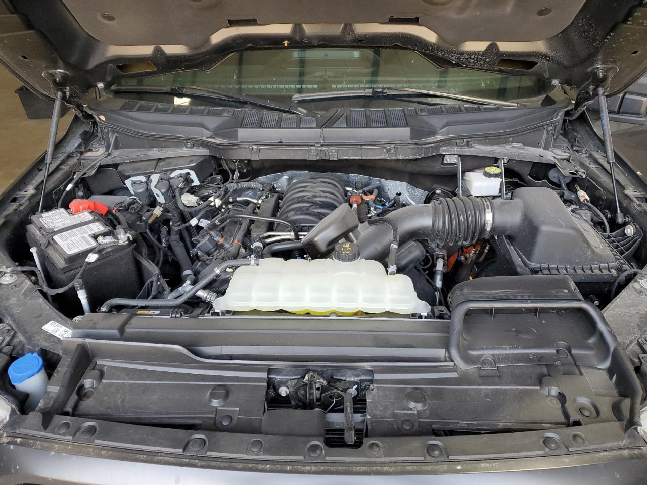 2023 FORD F150 SUPERCREW VIN:1FTEW1C53PKF95538