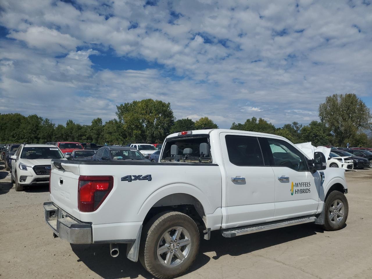 2024 FORD F150 XLT VIN:1FTFW3L5XRKD72951