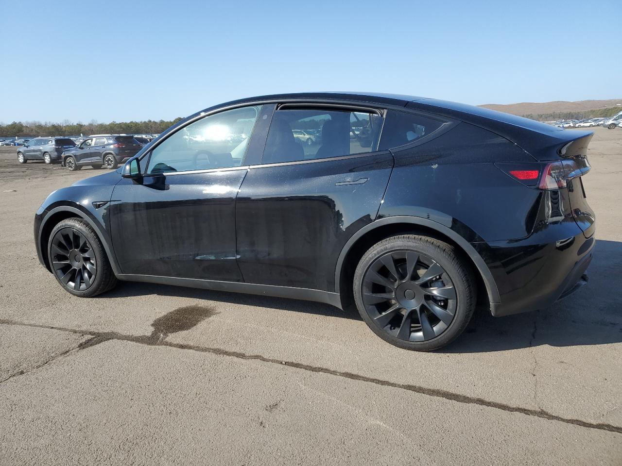 2023 TESLA MODEL Y  VIN:7SAYGAEE0PF608544