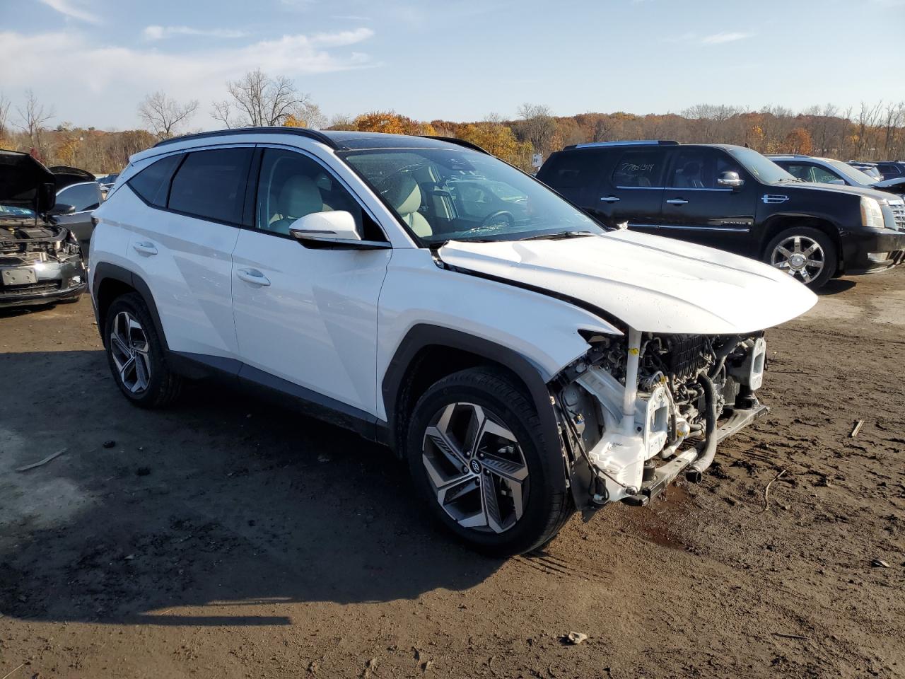 2024 HYUNDAI TUCSON LIMITED VIN:5NMJECDEXRH295036