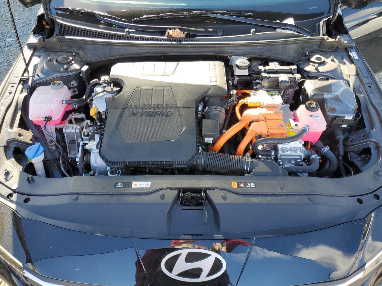 2024 HYUNDAI ELANTRA BLUE VIN:KMHLM4DJXRU102600