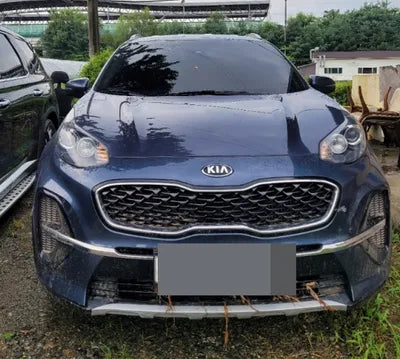 2019 Kia Sportage KNAPN813BKK658261 VIN:KNAPN813BKK658261
