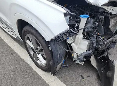 2019 Hyundai Santa FE KMHS581CBKU098716 VIN:KMHS581CBKU098716
