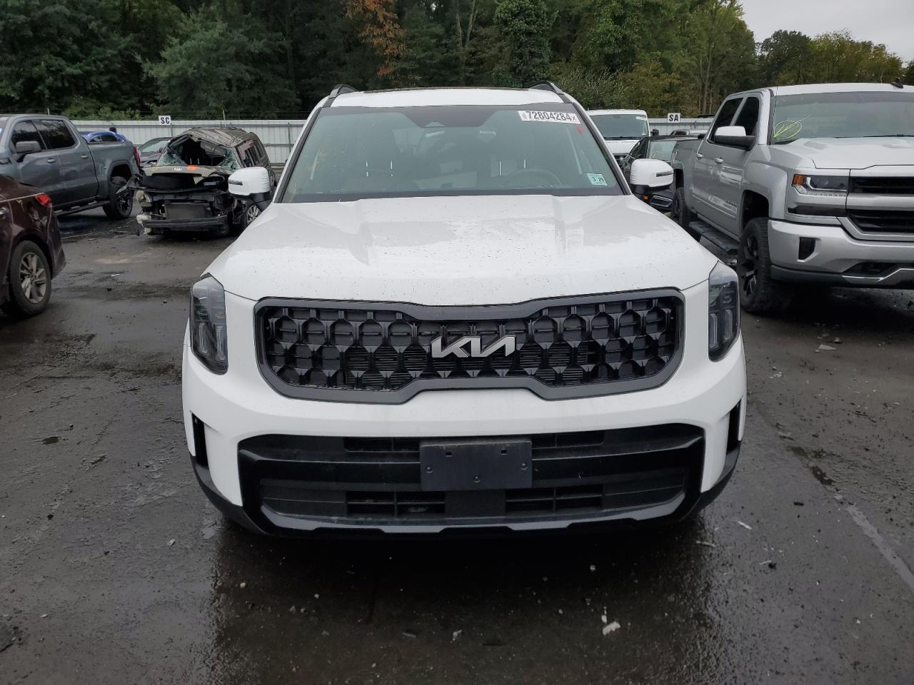 2024 KIA TELLURIDE EX VIN:5XYP3DGC8RG500198