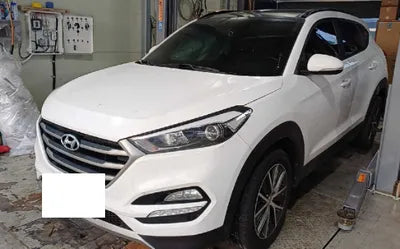 2017 Hyundai Tucson KMHJ381ABHU321872 VIN:KMHJ381ABHU321872