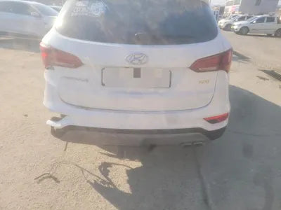 2017 Hyundai Santa FE KMHSW81UBJU804806 VIN:KMHSW81UBJU804806