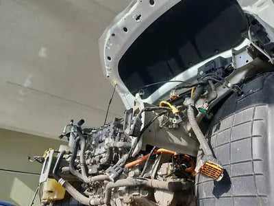 2019 Hyundai Kona KMHK281GFKU052930 VIN:KMHK281GFKU052930