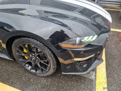 2019 Ford Mustang VIN: