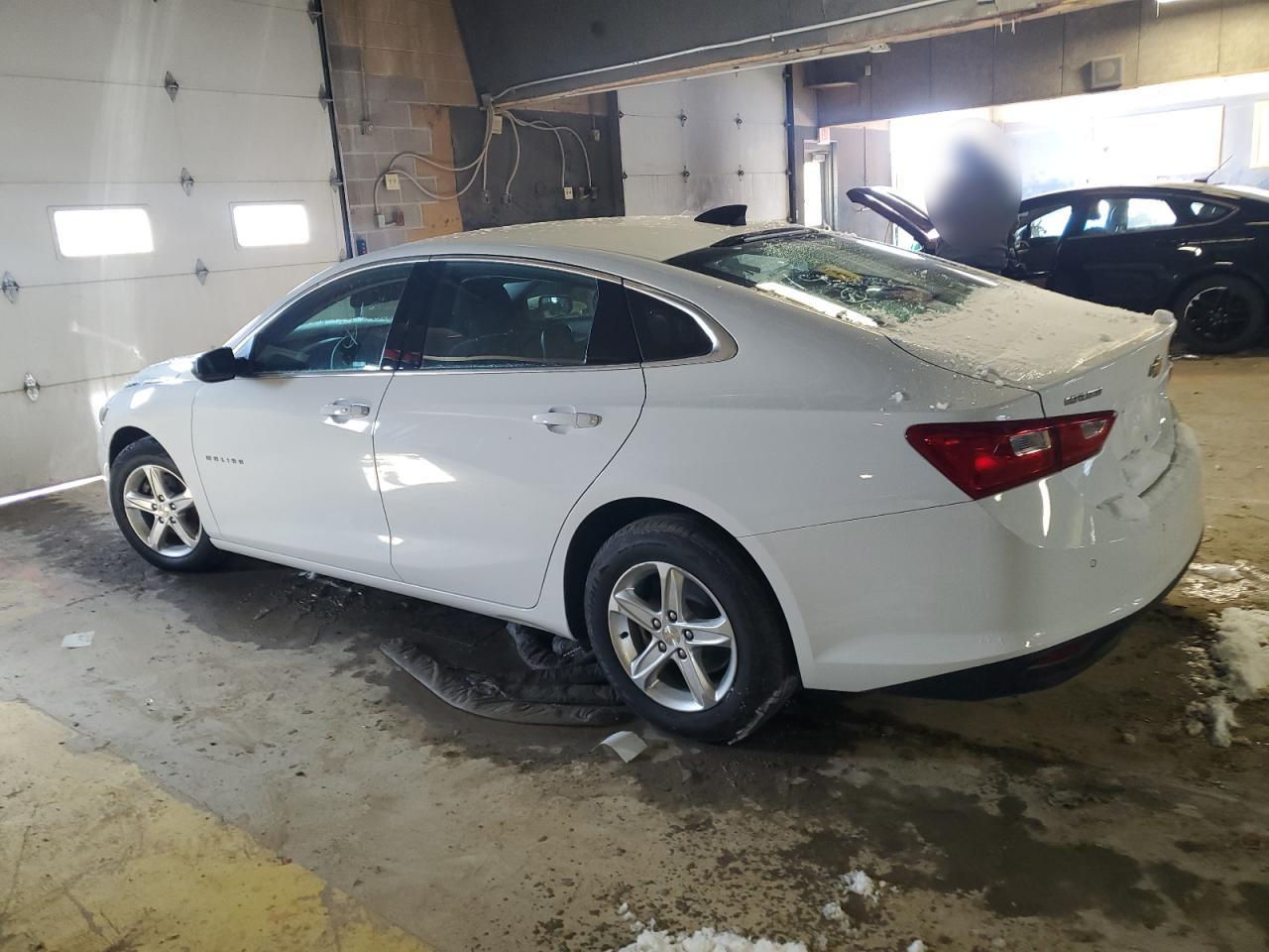 2023 CHEVROLET MALIBU LS VIN:1G1ZC5ST5PF147126