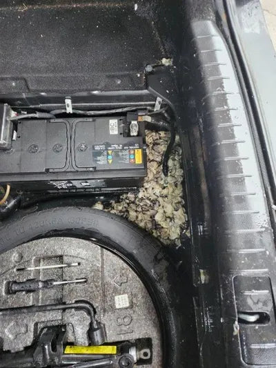 2018 Genesis G80 VIN: