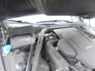 2015 acupuncture nessis 3.8 VIN: